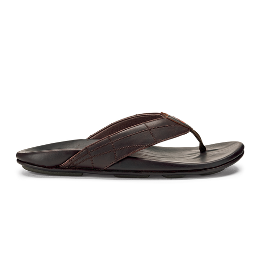 Dark Wood