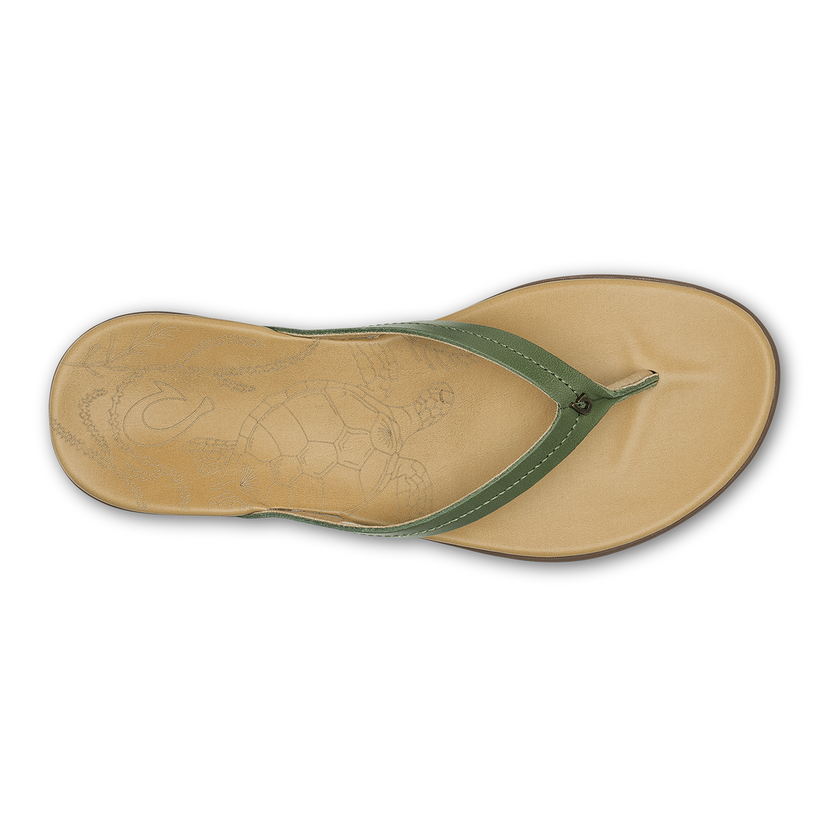 Sandal with green olive thong strap and golden sand sole, turtle design embossed on footbed.